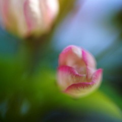IMG_7894.jpg
