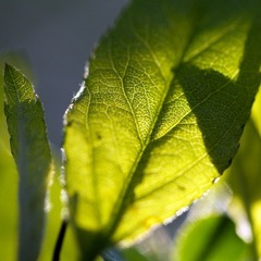 IMG_7915.jpg