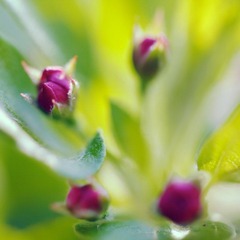 IMG_7917.jpg