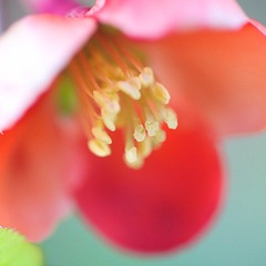 IMG_7964.jpg