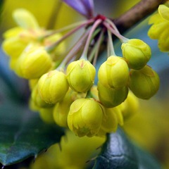 IMG_7974.jpg