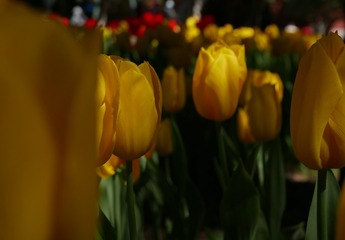 C0840AA0-F17C-4608-A918-50040EDF8E91/L0/001