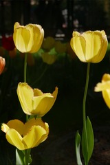 8C66578F-7E9B-4BC6-B951-3EBEDB05B836/L0/001
