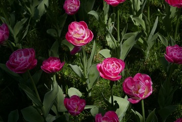 4BB45CA1-EFA7-4CB9-A236-7B5CD5DD3030/L0/001