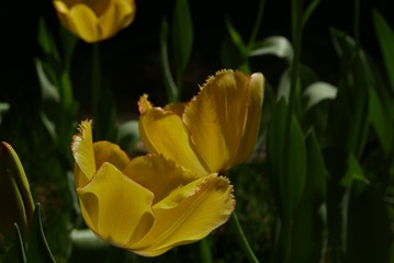 0D49C19B-1A55-4EEA-966A-4C5A02E4408C/L0/001
