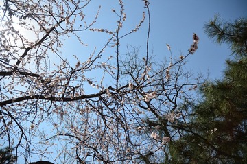 DSC_0777.JPG