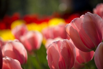 IMG_3025.jpg