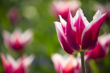 IMG_3038.jpg