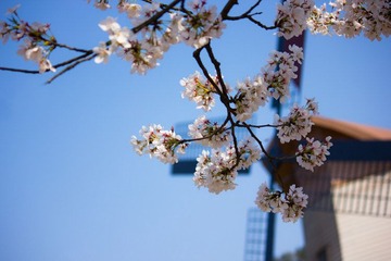 IMG_3044.jpg