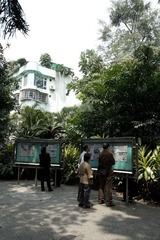 IMG_0985.jpg