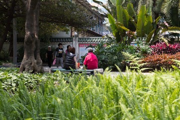 IMG_1010.jpg
