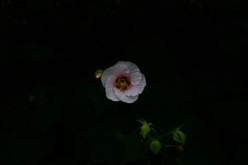 F0A0D848-9514-40EB-93E4-13698AA56462/L0/001