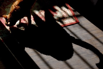 2009552