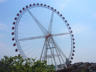 236028