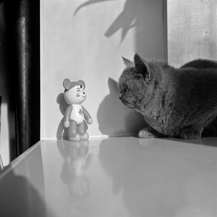 夺命pipi<br />
MAMIYA C330. 65mm/f3.5. shanghai GP3. D23 8'. F5 5'. EPSON V750.