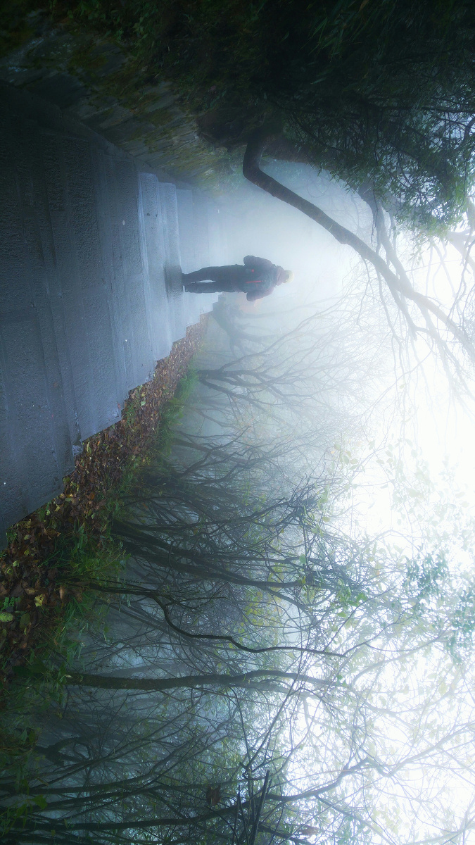 独行在迷雾森林