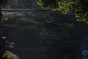 1000077913