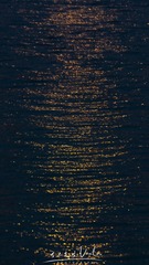 1000115252