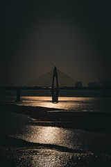 1000115279