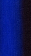 1000099339