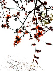 BC250938-F9DF-4869-90CB-E7787A1F80DF/L0/001