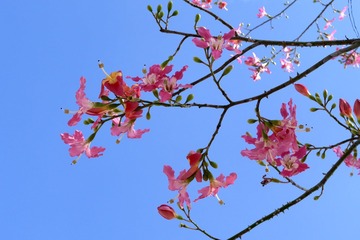 D4CC7F7B-0E25-4672-885B-EA2DCD4B7EE3/L0/001