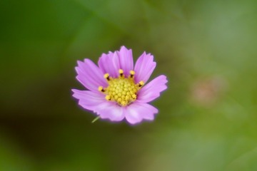 D2EB42D7-2ABF-429D-9779-720BB8AD6BA9/L0/001