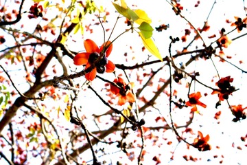 6C92B9B2-402C-4403-B1C1-E6FAA4D389E8/L0/001