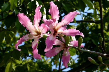 81710496-AC34-463F-AE97-B49D39C52E91/L0/001