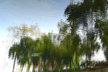 5222556D-0106-4866-B9BA-E3B616F722FA/L0/001
