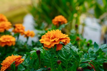 2E919374-0BD0-4C1C-8577-DB340DEE8715/L0/001
