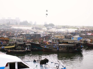 P1030242.jpg