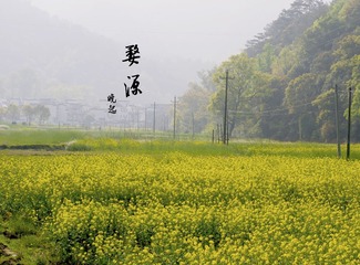 P10500191.jpg