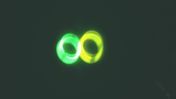 TempImage