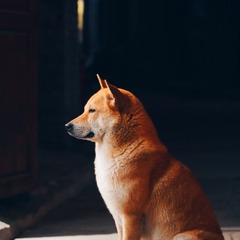 13652