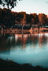 E01F4DDC-043A-4A13-821C-7C5390589763/L0/001
