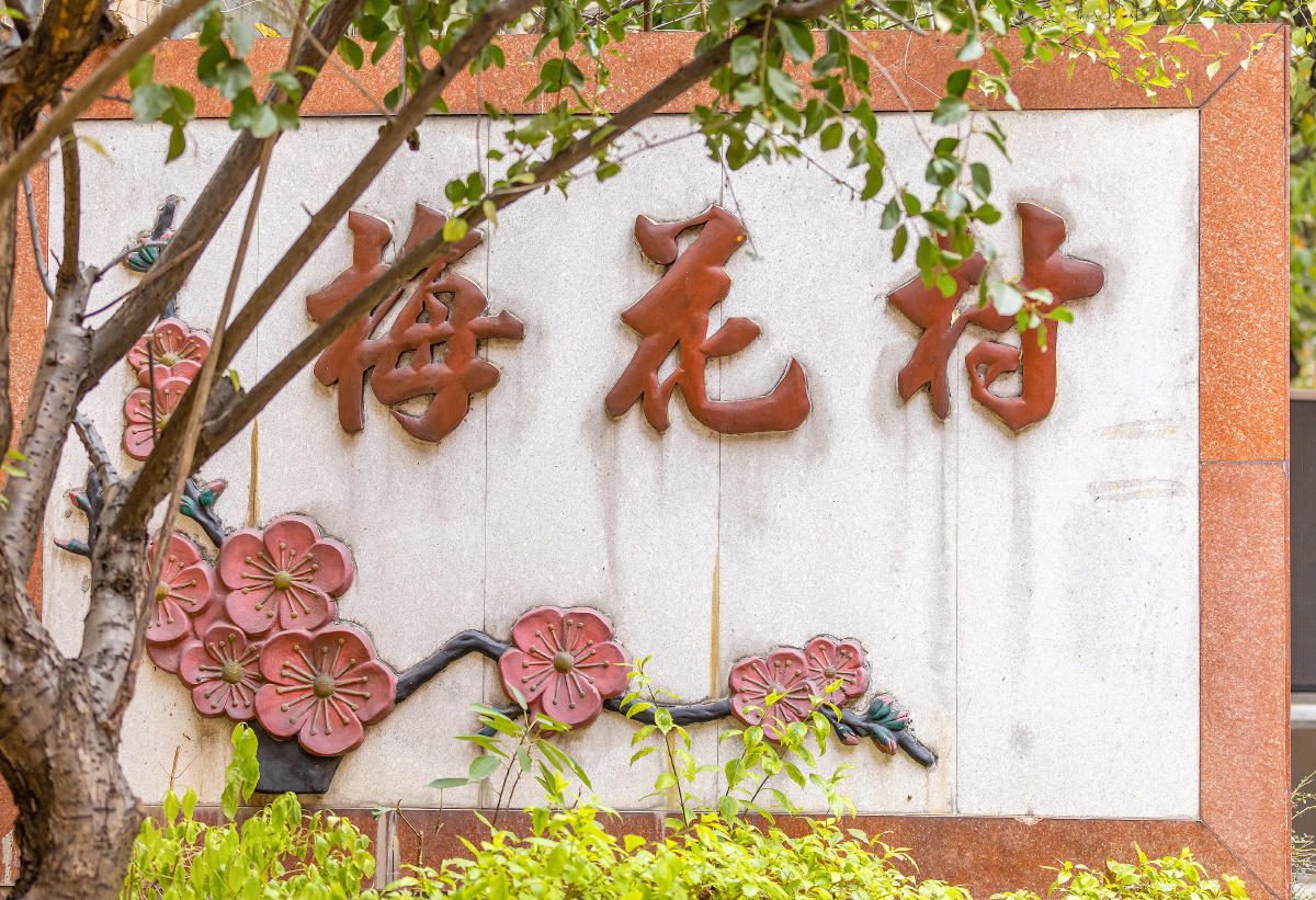 广州梅花村打卡