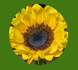 4D3F8FCB-5C01-4F25-95B8-A3B75C0CDF94/L0/001