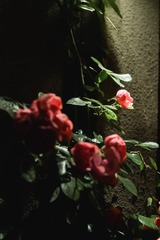 57F105B3-40F0-4239-A3C6-1B1C79E6BBF9/L0/001