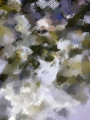 1008609