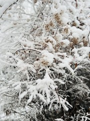 3CF38119-A80C-46AD-B40D-9E3CB4391ED2/L0/001