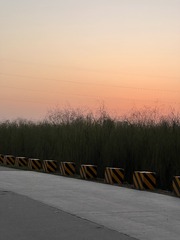 4081EEBA-C120-4927-817C-662E1A79F6BA/L0/001