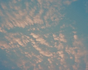 2780678