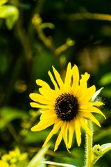 B38C57F2-6A76-4FAA-97EB-66ECBB91FF7B/L0/001