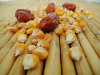 DSCN2750.jpg