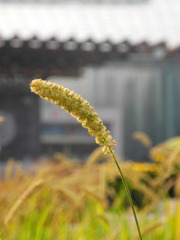 DSCN2672.jpg