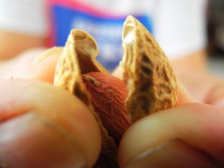 DSCN2827.jpg