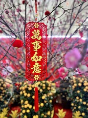 8975713F-F854-4312-87FA-C5250A3F56E0/L0/001