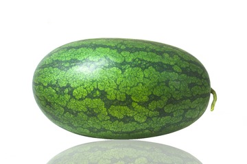 _ZHU4287