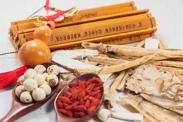 _ZHU4199